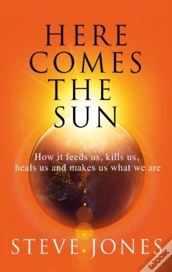 Capa do artigo Here Comes The Sun