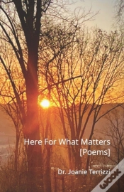 Capa do artigo Here For What Matters (Poems)