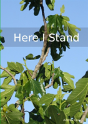 Here I Stand - Preview