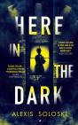 Here In The Dark - Preview