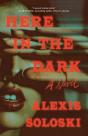 Here In The Dark - Preview