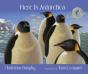 Here Is Antarctica - Preview