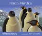 Here Is Antarctica - Preview