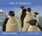 Here Is Antarctica - Preview
