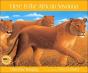 Here Is The African Savanna - Preview