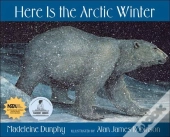 Here Is The Arctic Winter