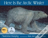 Here Is The Arctic Winter