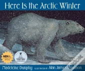 Here Is The Arctic Winter