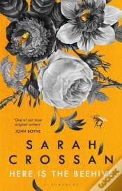 Capa do artigo Here Is The Beehive
