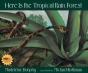 Here Is The Tropical Rain Forest - Preview
