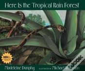 Capa do artigo Here Is The Tropical Rain Forest