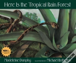 Capa do artigo Here Is The Tropical Rain Forest