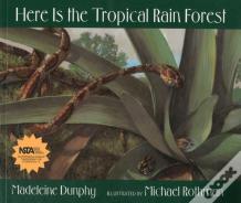 Here Is The Tropical Rain Forest