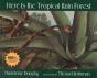 Here Is The Tropical Rain Forest - Preview