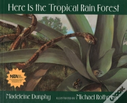 Capa do artigo Here Is The Tropical Rain Forest