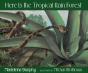 Here Is The Tropical Rain Forest - Preview