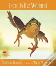 Here Is The Wetland