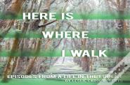 Here Is Where I Walk