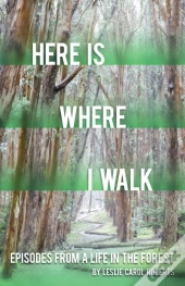 Here Is Where I Walk