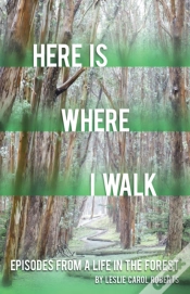 Capa do artigo Here Is Where I Walk