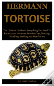 Capa do artigo Hermann Tortoise