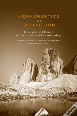 Capa do artigo Hermeneutics And Reflection