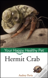 Hermit Crab