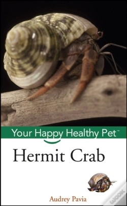 Capa do artigo Hermit Crab
