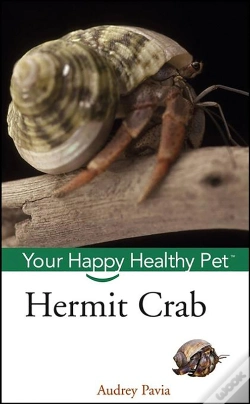 Capa do artigo Hermit Crab