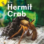 Hermit Crab
