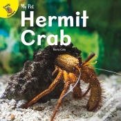 Capa do artigo Hermit Crab