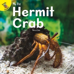 Capa do artigo Hermit Crab