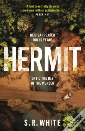 Capa do artigo Hermit