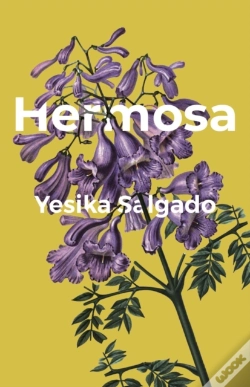 Capa do artigo Hermosa