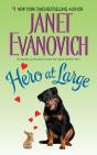 Hero At Large - Preview
