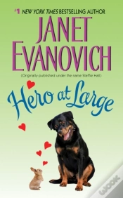 Capa do artigo Hero At Large
