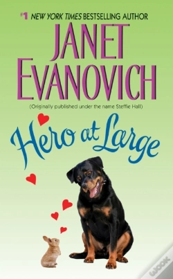 Capa do artigo Hero At Large