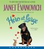 Hero At Large - Preview