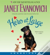Capa do artigo Hero At Large