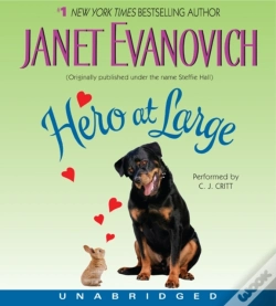 Capa do artigo Hero At Large