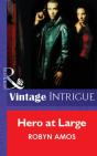 Hero At Large - Preview