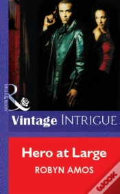 Capa do artigo Hero At Large
