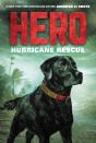Hero: Hurricane Rescue - Preview