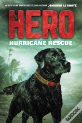 Hero: Hurricane Rescue