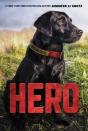 Hero - Preview