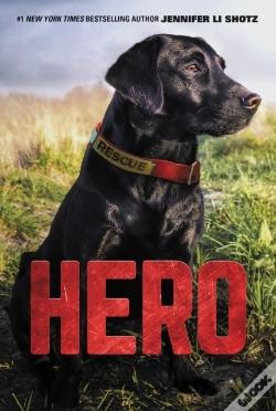 Capa do artigo Hero