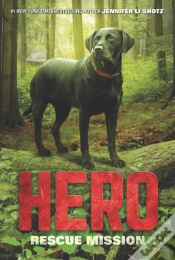 Capa do artigo Hero