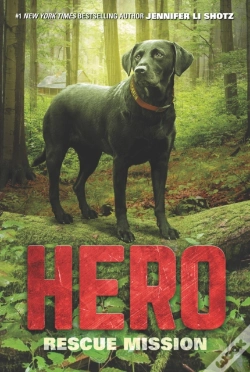 Capa do artigo Hero