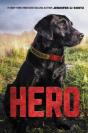 Hero - Preview