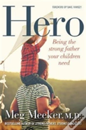 Capa do artigo Hero